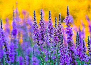 开发商老板亲自终结传言 《脑航员3》开发尚未启动